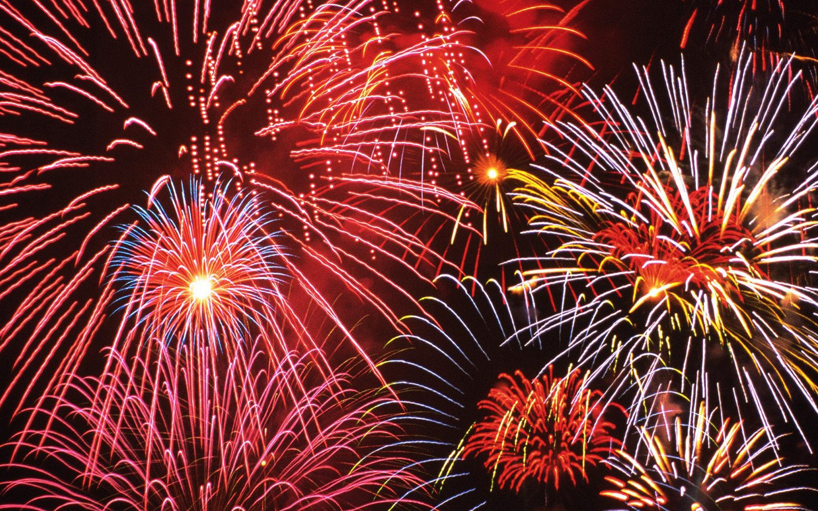 Fireworks Are Fun For You, But Not For Your Dog!