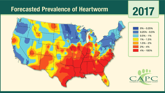 Heartworm Disease Varies by Location