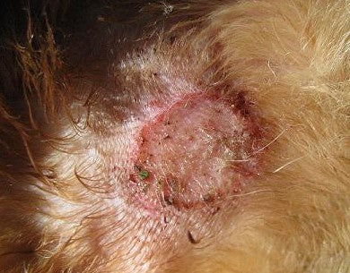 How to Clean Wounds: The Myths of Hydrogen Peroxide