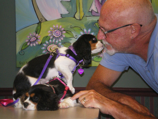 Puppy and Kitten Vaccinations - How Many??