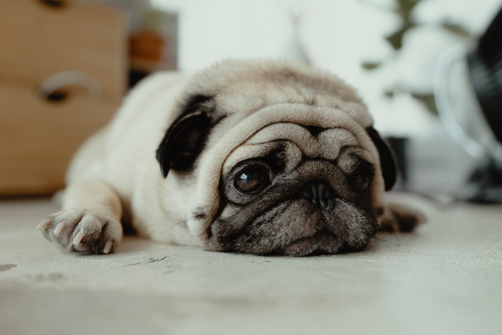 Pancreatitis Revisited