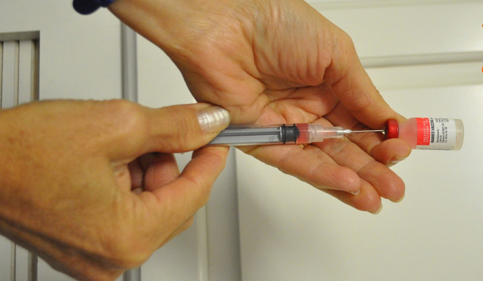 Rabies- Some Veterinarians Don't Understand Immunology