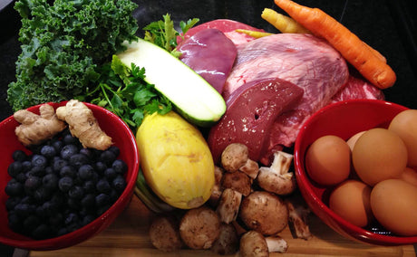 Food decisions: The Growing Divide Between Vets and Pet Owners
