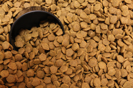 Flavor Enhancers Convince Your Pets to Eat Things They Normally Would Not Touch