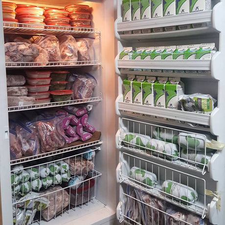 Choosing the Right Diet