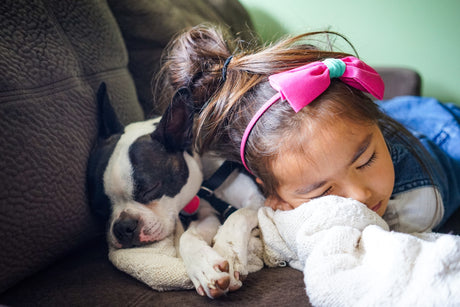 How To Help Your Children Cope With The Loss of The Family Pet