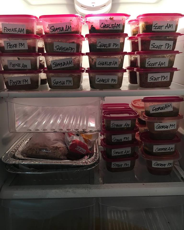 The Kids Are Home, But They're Not Alone