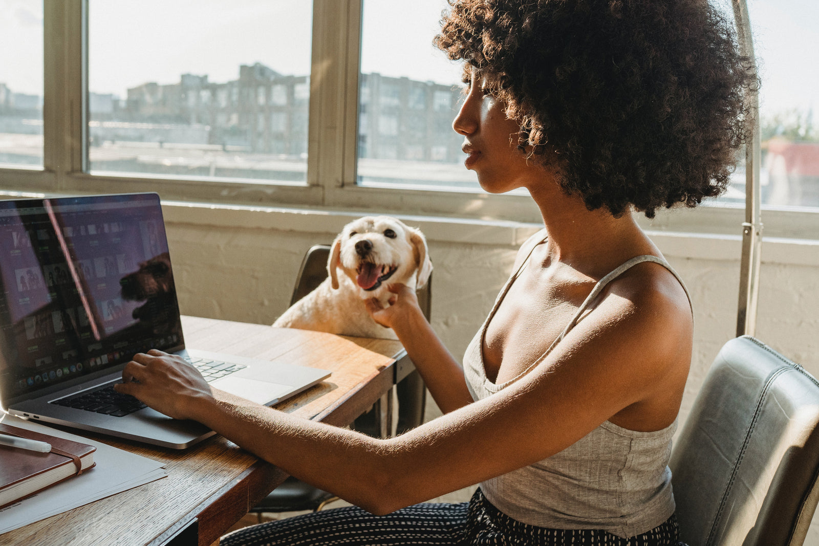 Working From Home With Pets 2