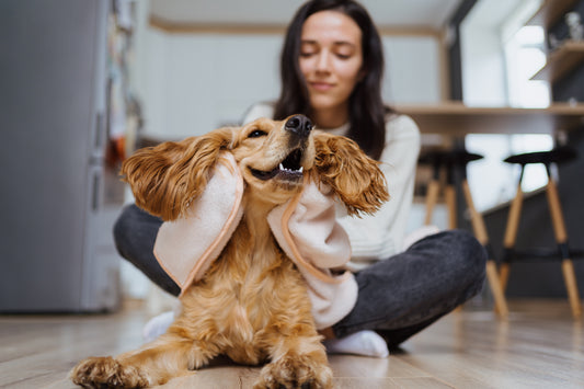 Six Ways to Save Money on Pet Care in the Coming Year