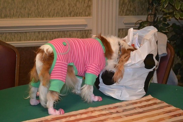 Healthy Treats Matter