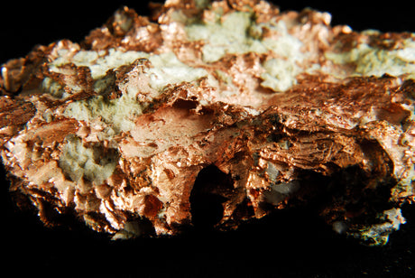Copper Storage Disease in Dogs and Cats