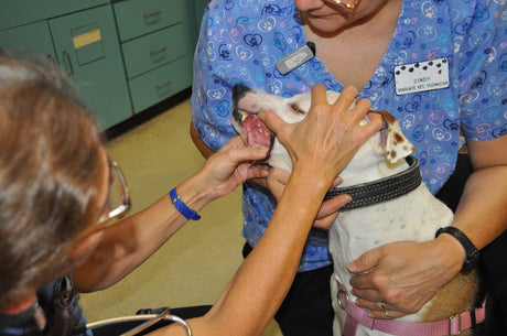 Annual Check-Up Must-Haves