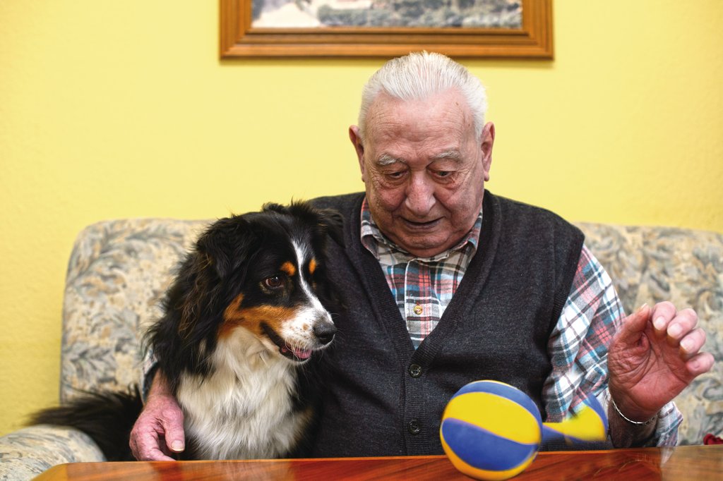 How Dogs Can Enhance Patient Recovery