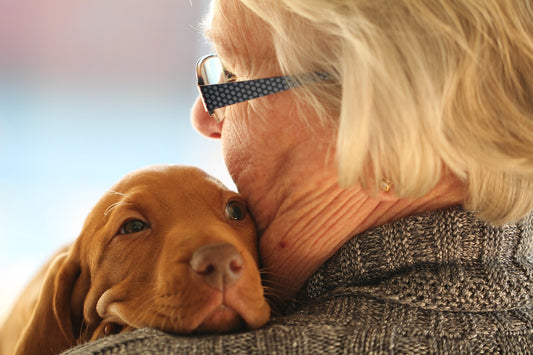 How Senior Pet Parents Can Find the Best Assisted Living Center to Call Home