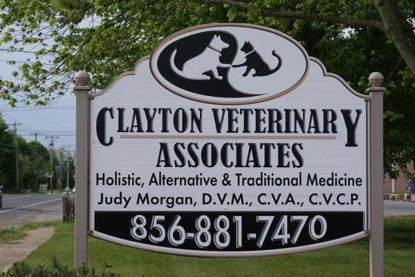 Choosing the Right Veterinarian