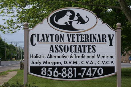 Choosing the Right Veterinarian