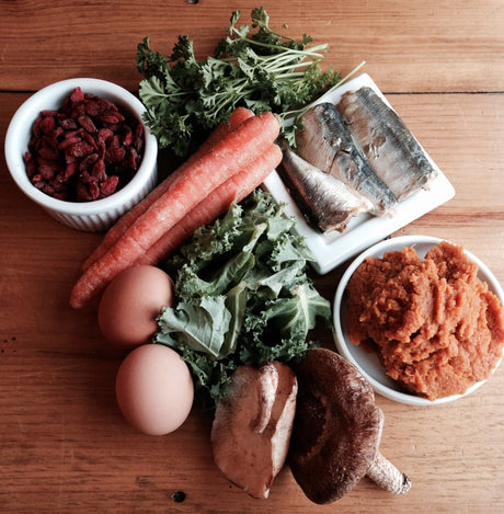 The Most Important Ingredient in Pet Health