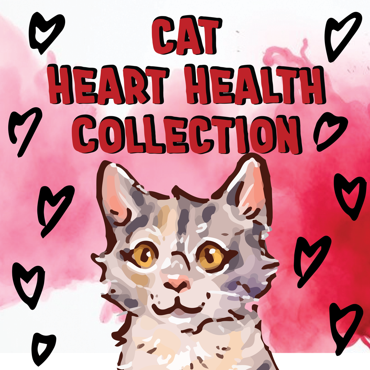 Cat - Heart Health