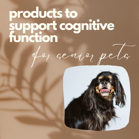 Support for Cognitive Function