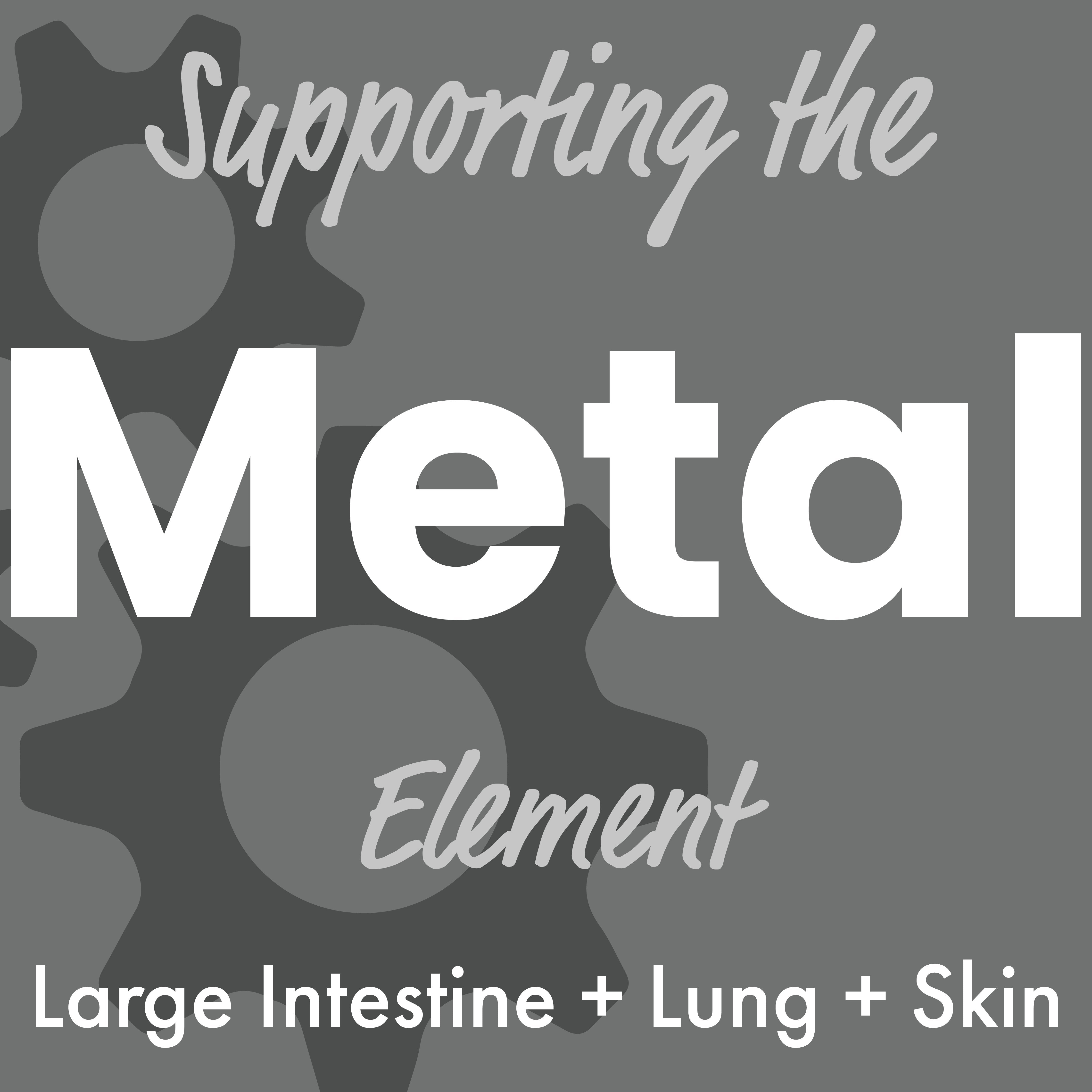 Supporting the Metal Element Dr. Judy Naturally Healthy Pets