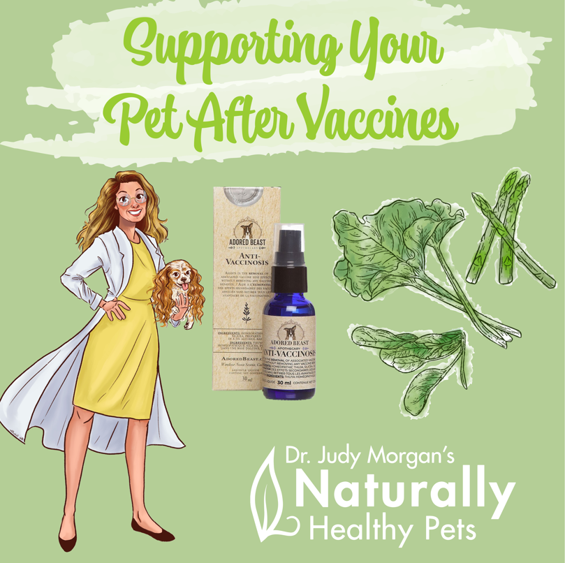 After Vaccines