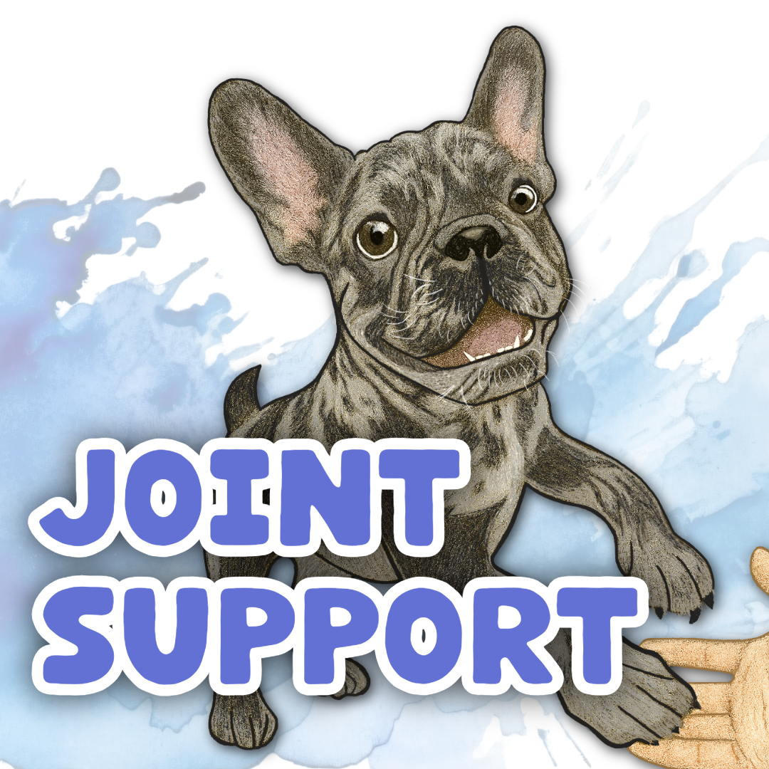 Illustration of a happy French Bulldog standing on hind legs with Joint Support in bold text. Light blue watercolor splashes form the background.