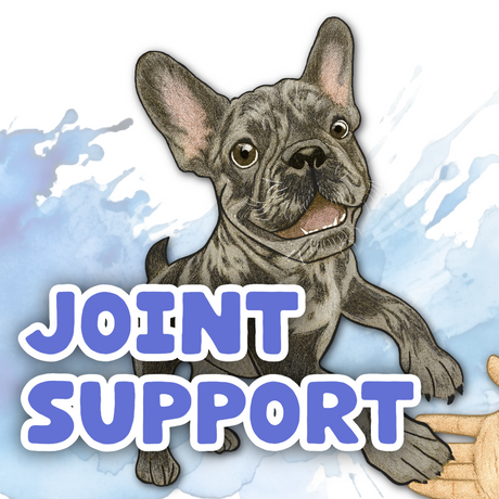 Illustration of a happy French Bulldog standing on hind legs with Joint Support in bold text. Light blue watercolor splashes form the background.