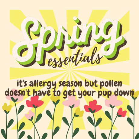 Springtime Essentials