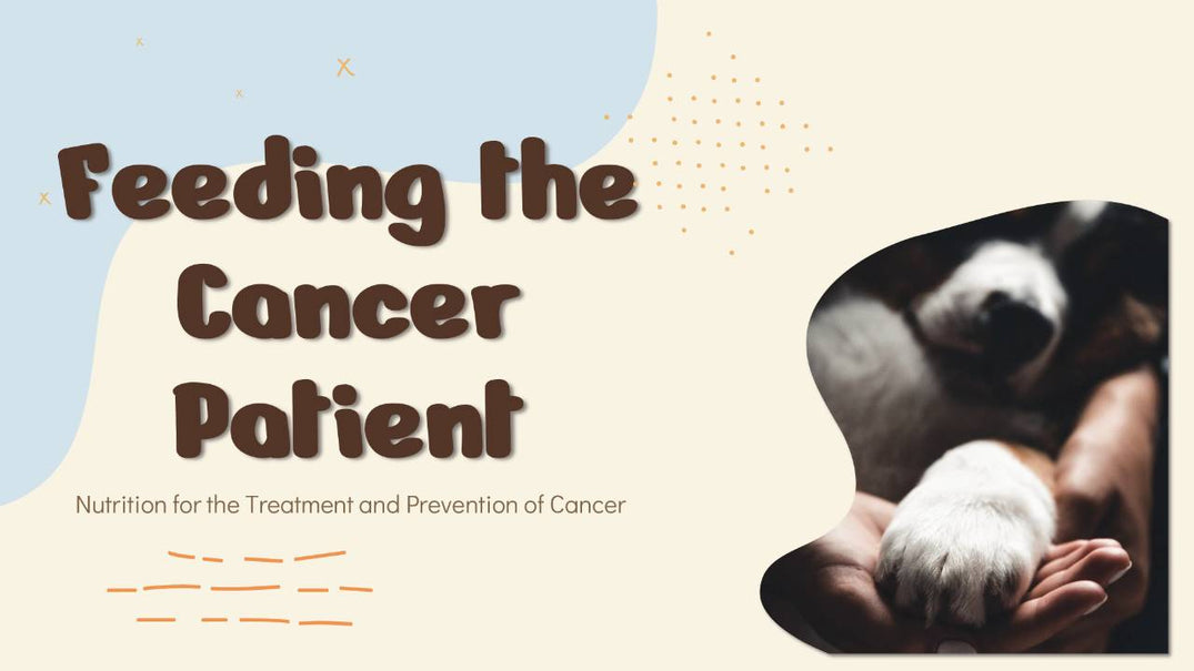 Nutritional Cancer Prevention For Pets Reference: Cancer Awareness
