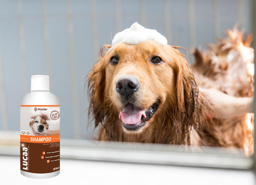 LUCAA+ | Pet Probiotic Shampoo - 300ml