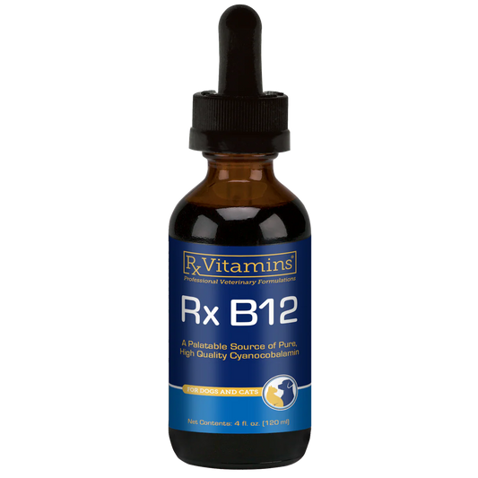 Rx Vitamins B-12 Liquid