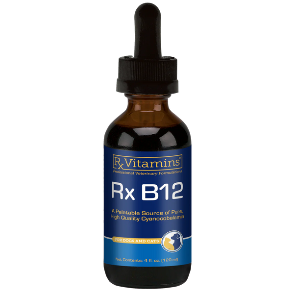 Rx Vitamins B-12 Liquid – Dr. Judy Morgan's Naturally Healthy Pets
