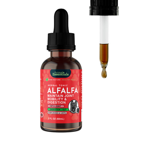 A 2 fl oz bottle of Animal Essentials | Alfalfa Single Herb Tonic for dogs and cats, featuring a dropper and a droplet of liquid beside it. The label emphasizes its benefits as a joint mobility supplement and digestive support for pets, making it an excellent source of alfalfa.