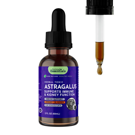 A brown 2 fl oz (60 mL) bottle of Animal Essentials | Astragalus Single Herb Tonic features a label indicating it’s an alcohol-free liquid formulated for dogs and cats, supporting immune and kidney health, with an included dropper dispensing a drop beside the bottle.