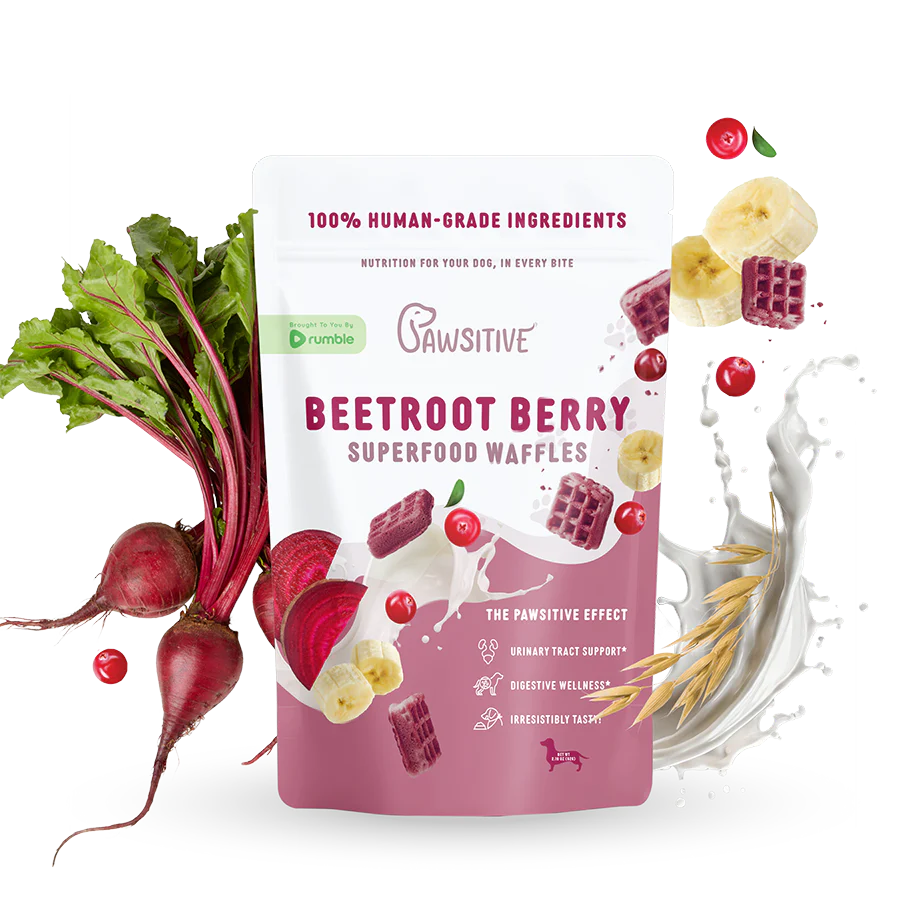 Pawsitive | Superfood Waffles