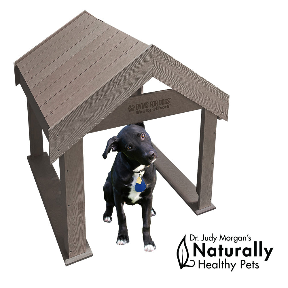 Gyms for Dogs | Boogie's Tunnel House