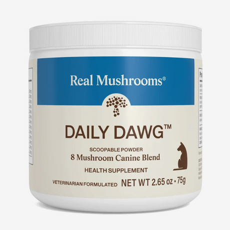A white container of Real Mushrooms | Daily Dawg Powder for Dogs, an organic 8-mushroom blend supplement designed to support immune health in dogs, featuring blue and beige labeling with a silhouette of a dog on the front.