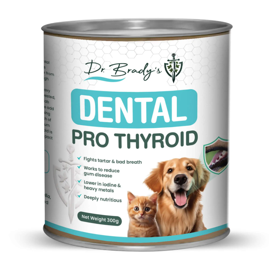 Dr. Brady's Dental Pro Thyroid