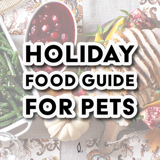 A festive table featuring green beans, cranberry sauce, turkey, and a small pumpkin sits beneath bold text: “Holiday Food Guide for Pets.” Find out which holiday foods are safe for your pets to enjoy by downloading our free, ADA-compliant Holiday Food Guide for Pets PDF.