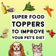 Illustrated dogs and cats sit below the text "Super Food Toppers to Improve Your Pet's Diet," surrounded by images of oil, fish, spinach, carrot, oyster, berries, and herbs—each thoughtfully selected as superfoods for dogs—all set against a green-yellow gradient background.