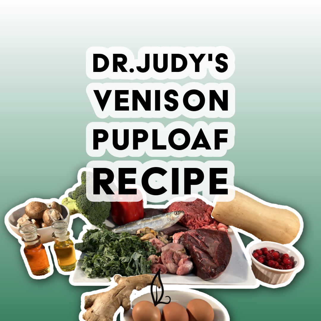 Dr. Judy’s Venison PupLoaf Recipe featuring a balanced blend of venison, fish, organ meats, butternut squash, kale, broccoli, mushrooms, cranberries, eggs, and ginger, available as a free PDF download.