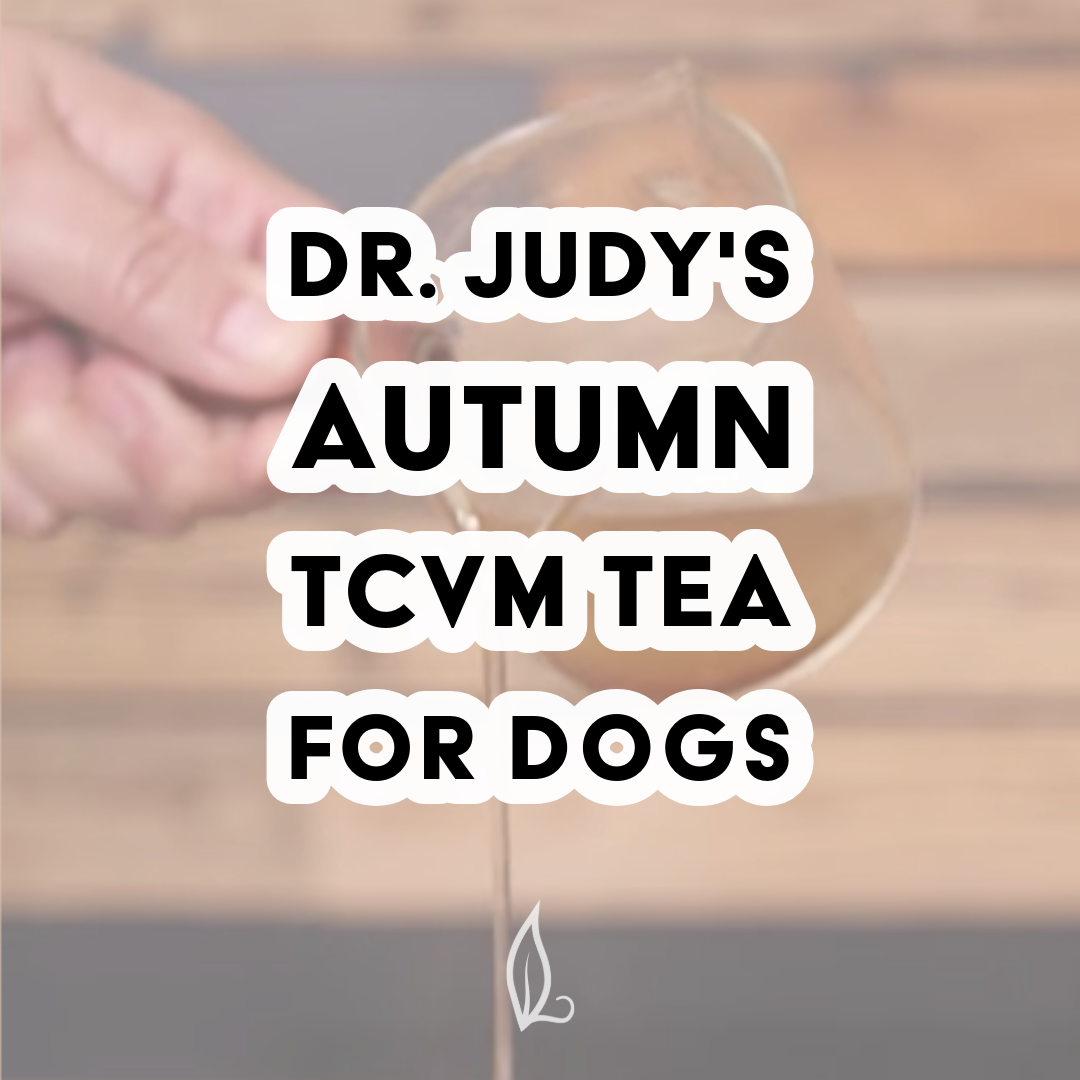 A hand pours tea from a glass teapot. Overlaid text reads: Dr. Judy's Autumn TCVM Tea Recipe, an autumn-inspired blend created just for your canine companion. A small white leaf icon appears at the bottom center. Receive a complimentary PDF download with every purchase.