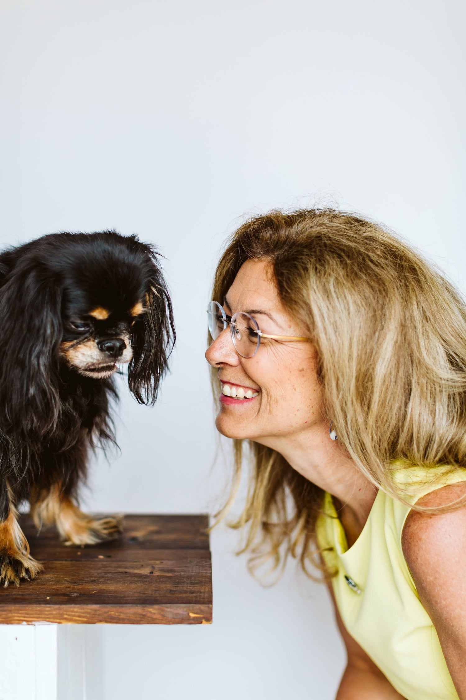 Dr Judy Naturally Healthy Pets Dr. Judy Naturally