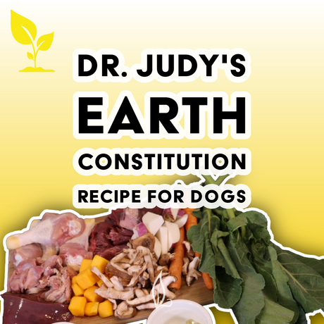 A selection of fresh ingredients—such as raw meat, mushrooms, squash, and leafy greens—is displayed next to the text "Dr. Judy's Earth Constitution Recipe," which is formulated to meet the FEDIAF 2021 standard, with a small plant icon in the top left corner.