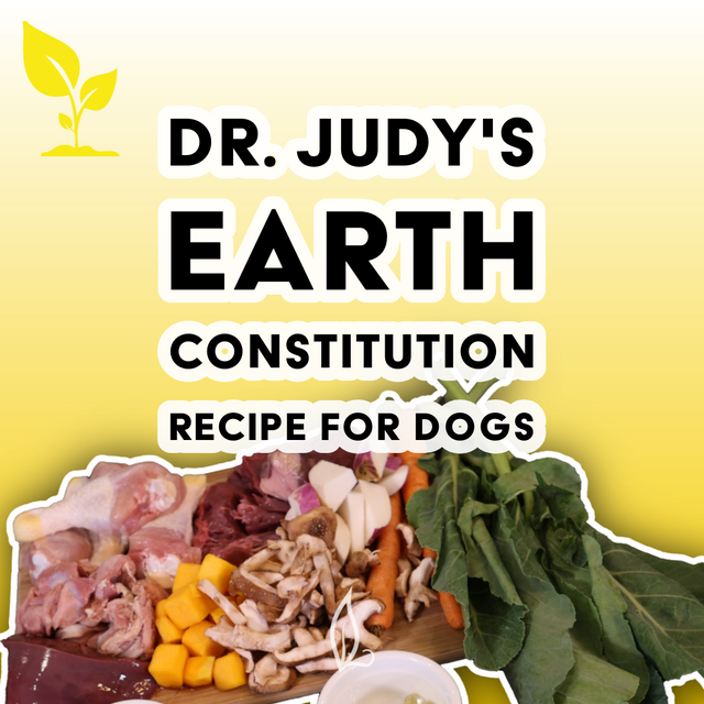 A selection of fresh ingredients—such as raw meat, mushrooms, squash, and leafy greens—is displayed next to the text "Dr. Judy's Earth Constitution Recipe," which is formulated to meet the FEDIAF 2021 standard, with a small plant icon in the top left corner.
