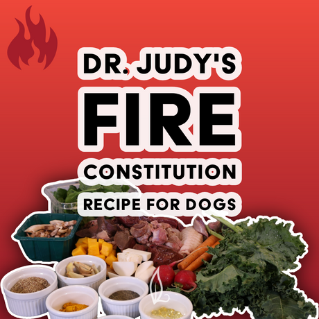 A vibrant display features an assortment of fresh vegetables, fruits, and spices arranged in bowls and piles beneath bold text reading “Dr. Judy's Fire Constitution Recipe for Dogs” on a red background with a flame icon—an eye-catching scene that showcases Dr. Judy's Fire Constitution Recipe ingredients. Ideal for pet owners, this setup encourages you to download your free PDF or discover more through the Animal Diet Formulator.