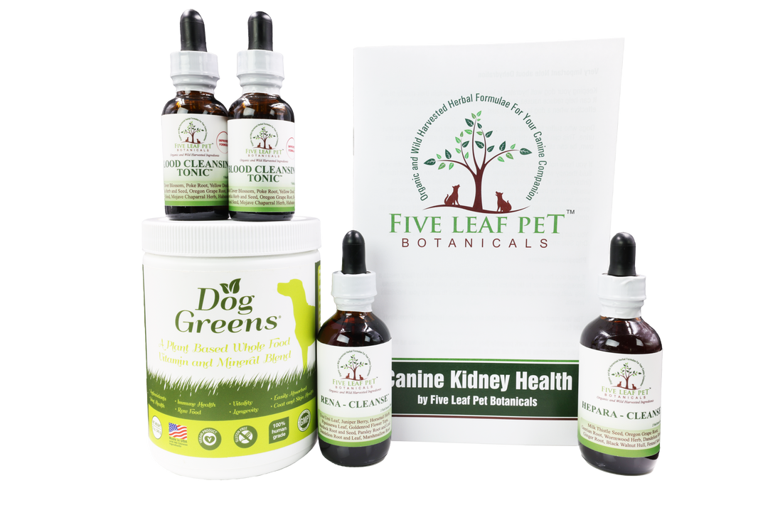 Dog Kidney Dr. Judy Naturally Healthy Pets