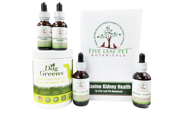 Five Leaf Botanicals | Canine Kidney Health Program – Dr. Judy