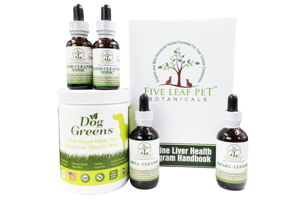 Five Leaf Botanicals | Canine Liver Health Program