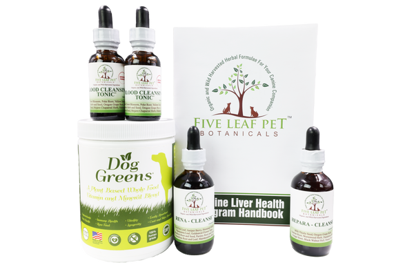 Five Leaf Botanicals Canine Liver Health Program – Judy